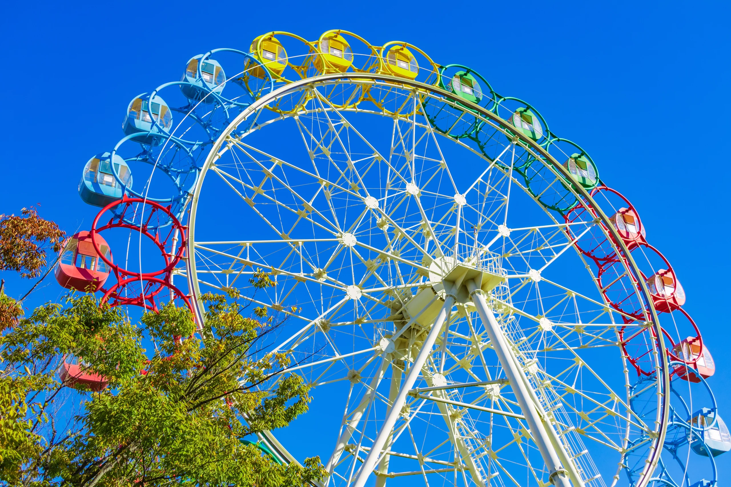 観覧車があるテーマパークの写真